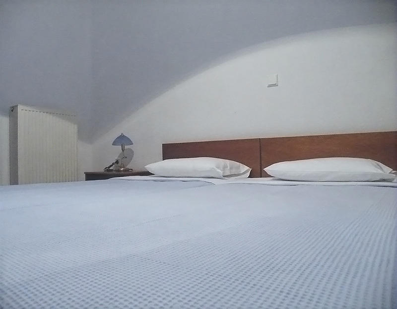 Hotel Alexandros Fanárion 객실 사진